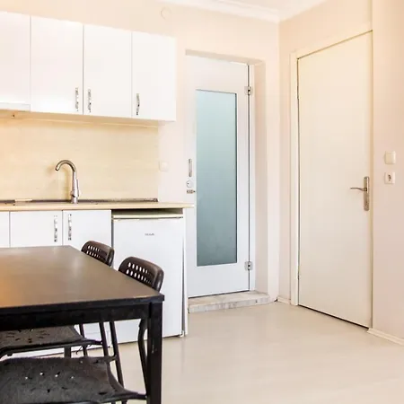 Magnificent Studio Flat In Konak